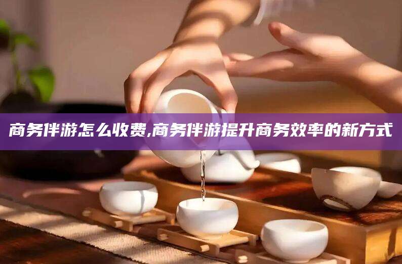 祁阳商务伴游怎么收费,商务伴游提升商务效率的新方式